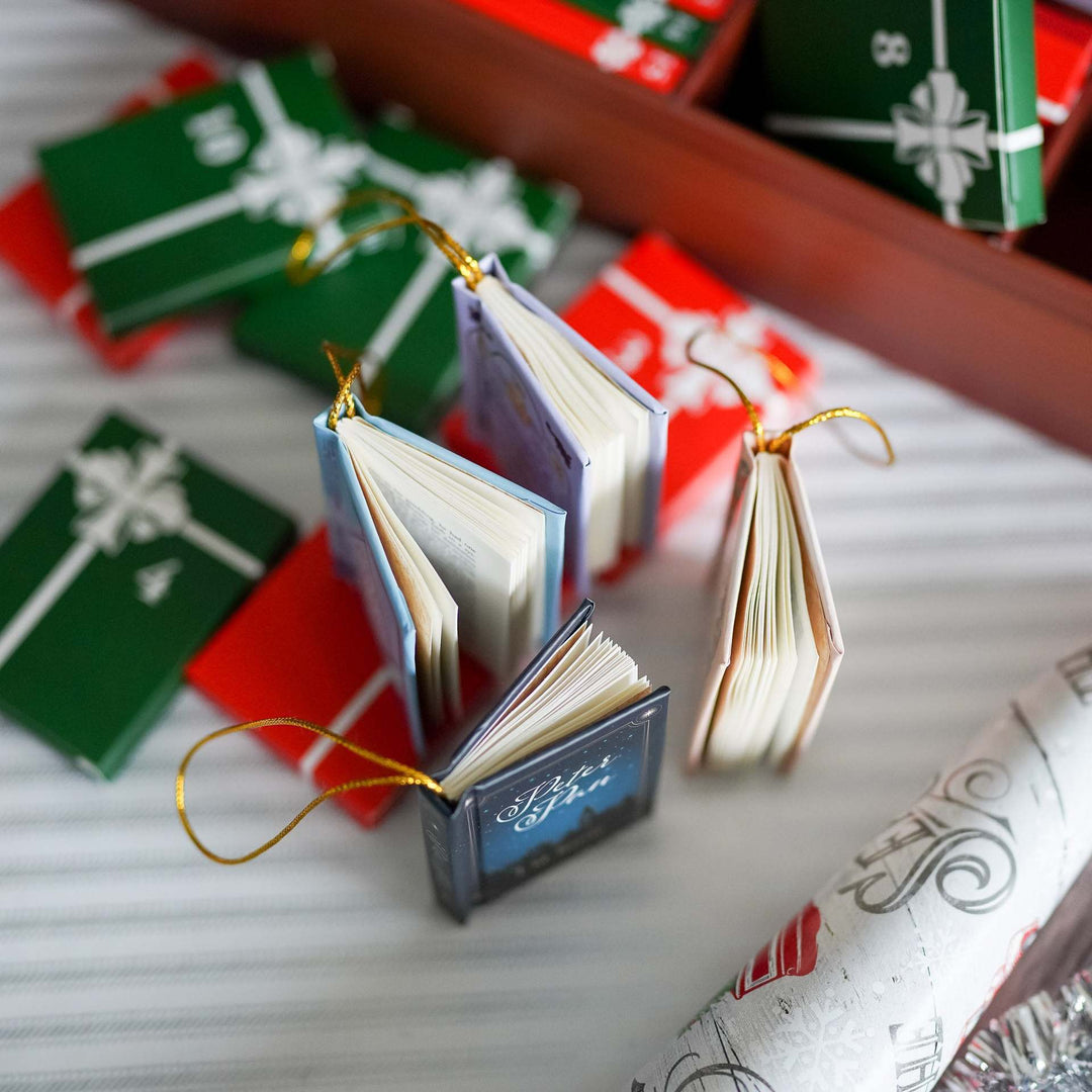Red bookcase Christmas blind box with mini books