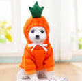 Small dog wearing a fruit fleece hoodie