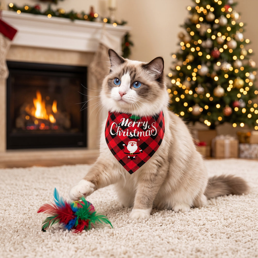 Christmas advent calendar for cats with toys