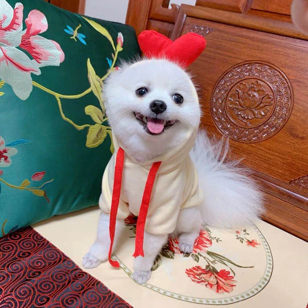 Small dog wearing a fruit fleece hoodie