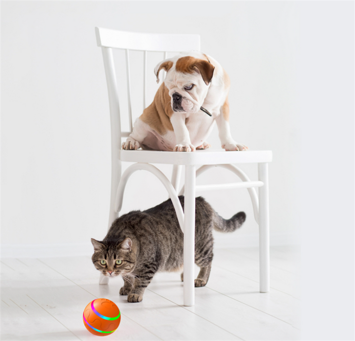 Orange self-rolling LED pet ball