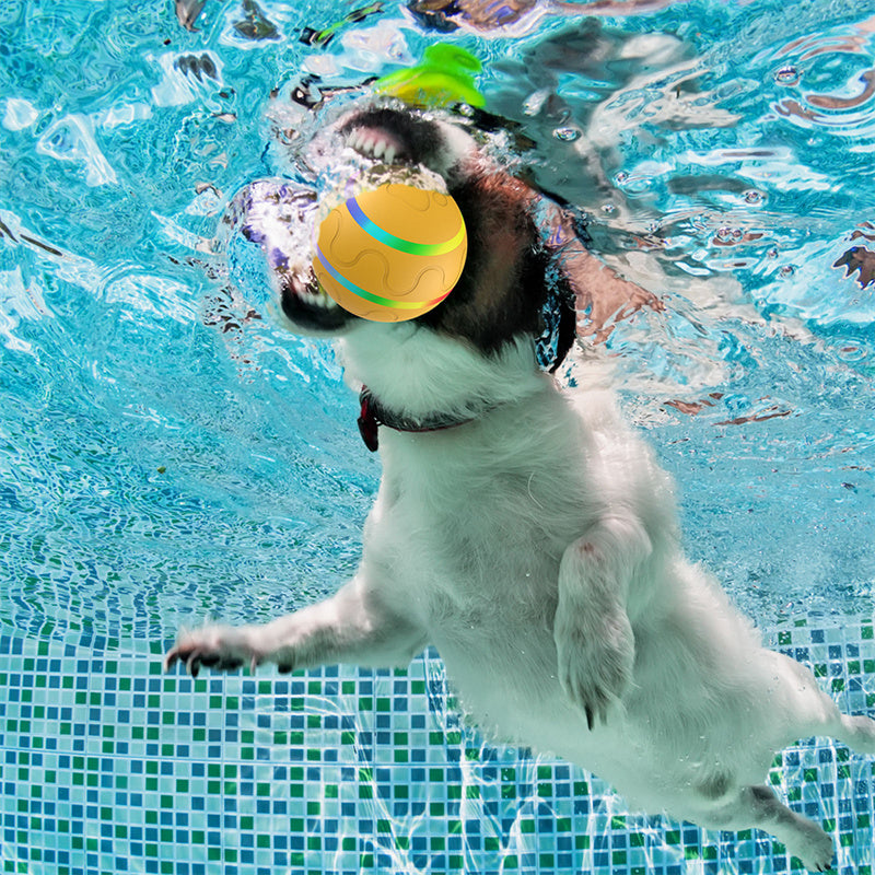 Orange self-rolling LED pet ball