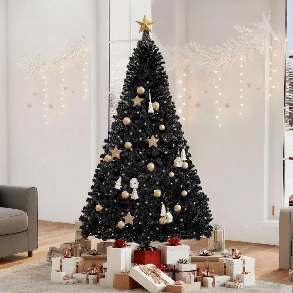 Full black spruce Christmas tree, unlit