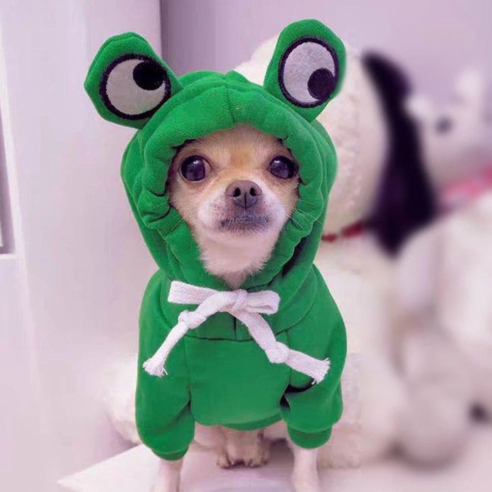 Small dog wearing a fruit fleece hoodie
