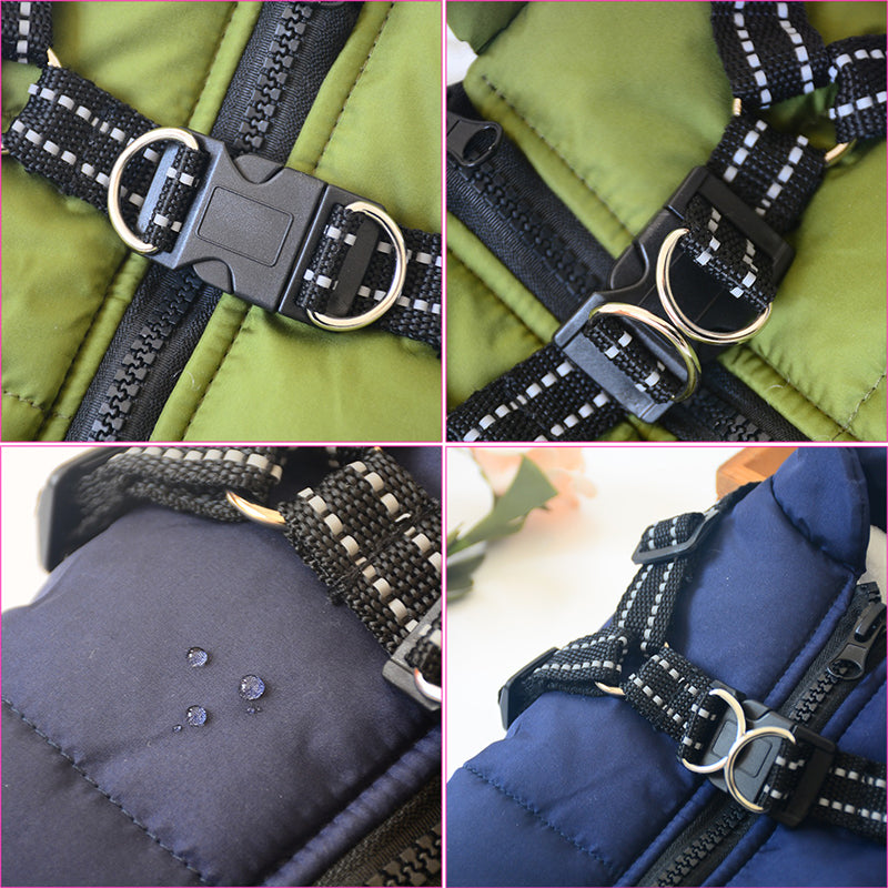 Dog wearing a waterproof padded coat