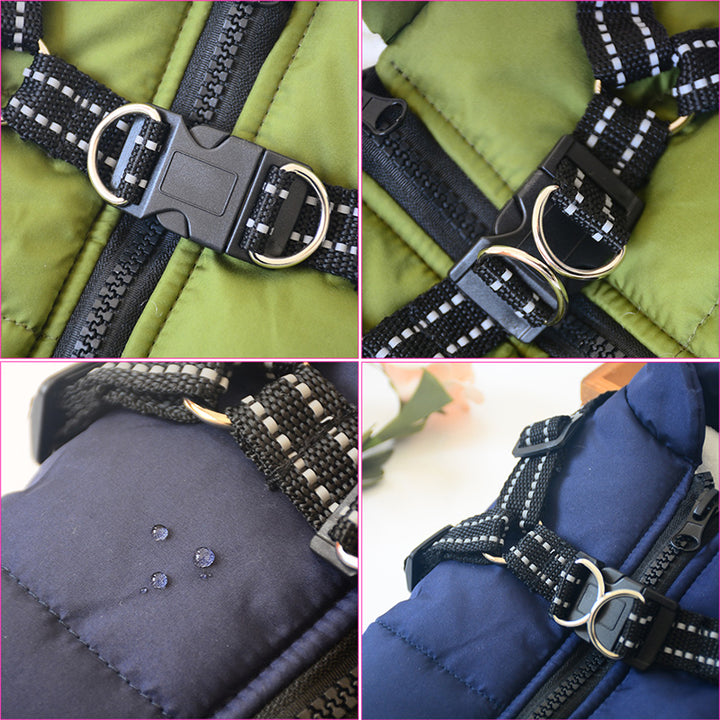 Dog wearing a waterproof padded coat