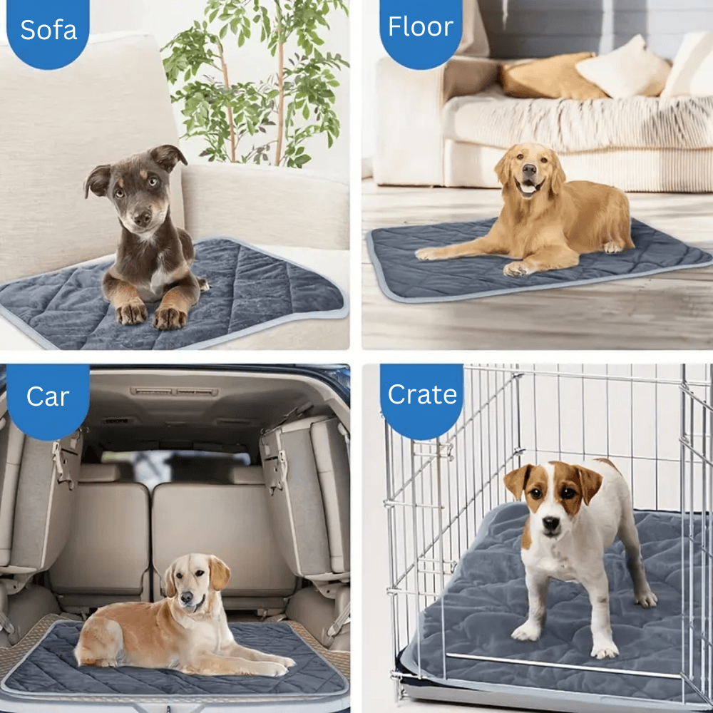 Self-Warming Dog Pad with Non-Slip Base, Washable