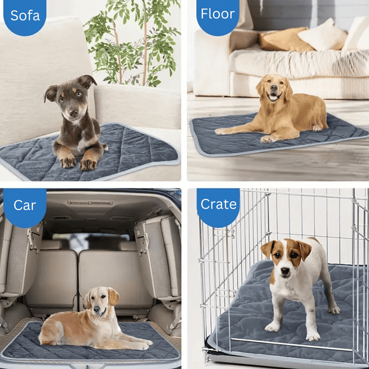 Self-Warming Dog Pad with Non-Slip Base, Washable