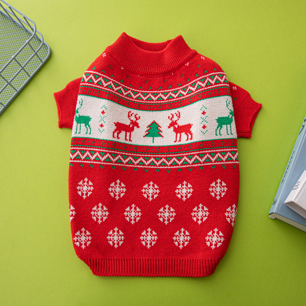 Small dog in knitted Christmas jumper