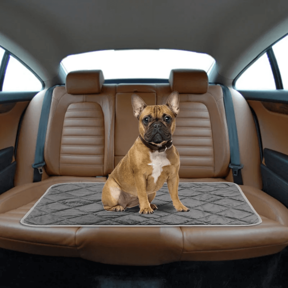 Self-Warming Dog Pad with Non-Slip Base, Washable