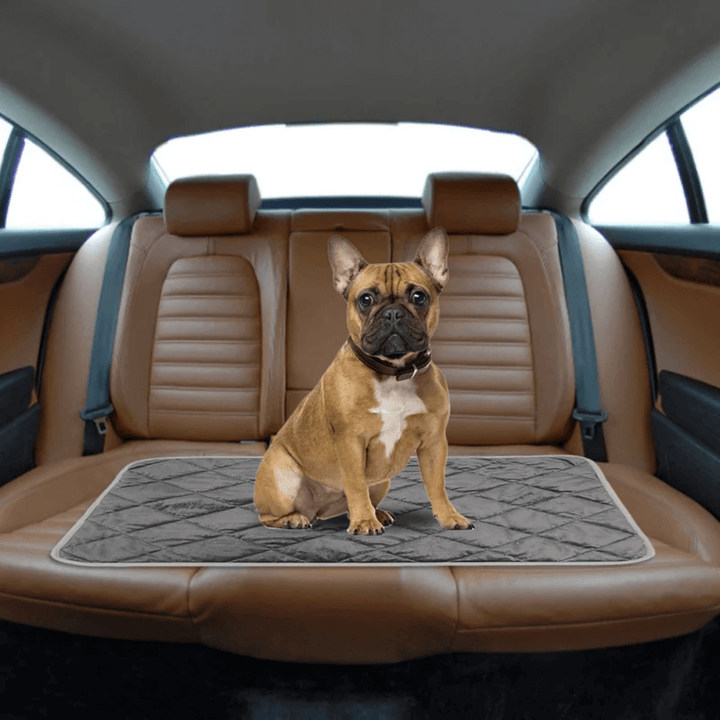 Self-Warming Dog Pad with Non-Slip Base, Washable