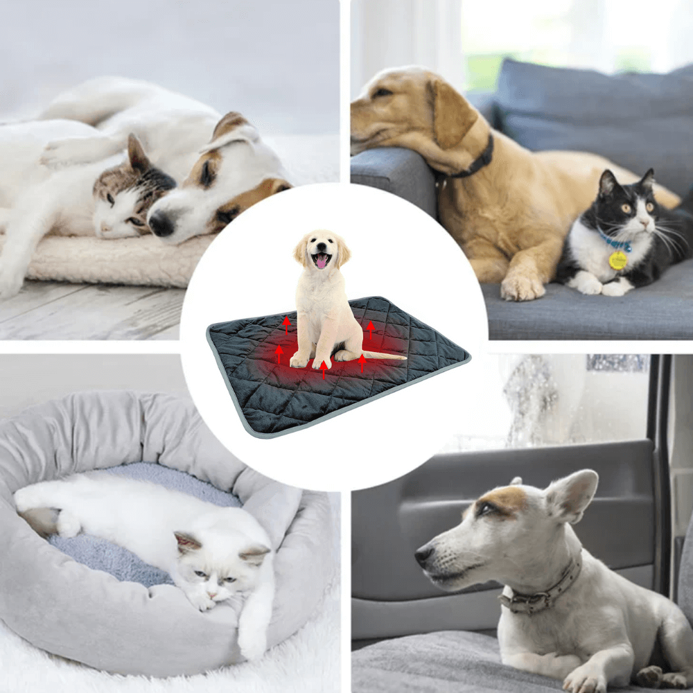 Self-Warming Dog Pad with Non-Slip Base, Washable