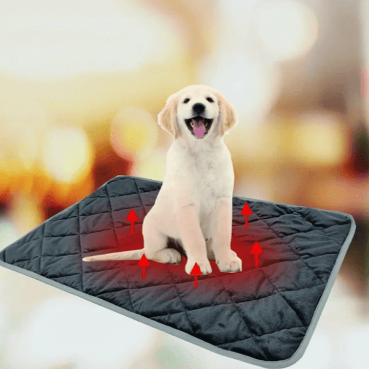 Self-Warming Dog Pad with Non-Slip Base, Washable