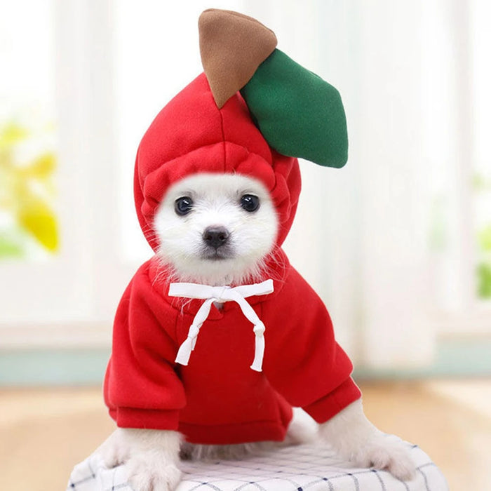 Heat Hollow Fleece pet hoodie in fun fruit and animal designs