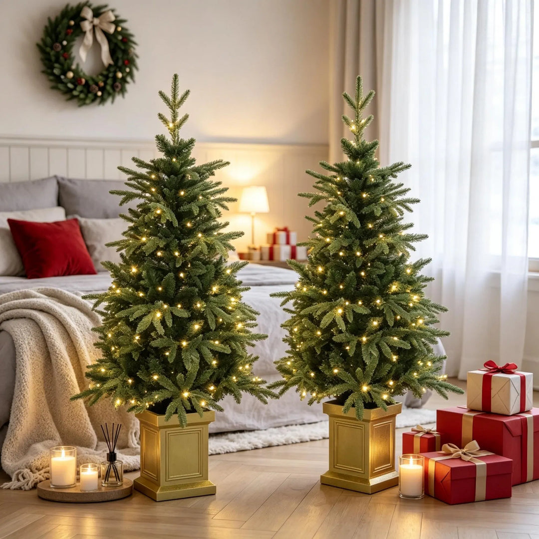 Two potted fir trees in gold pots