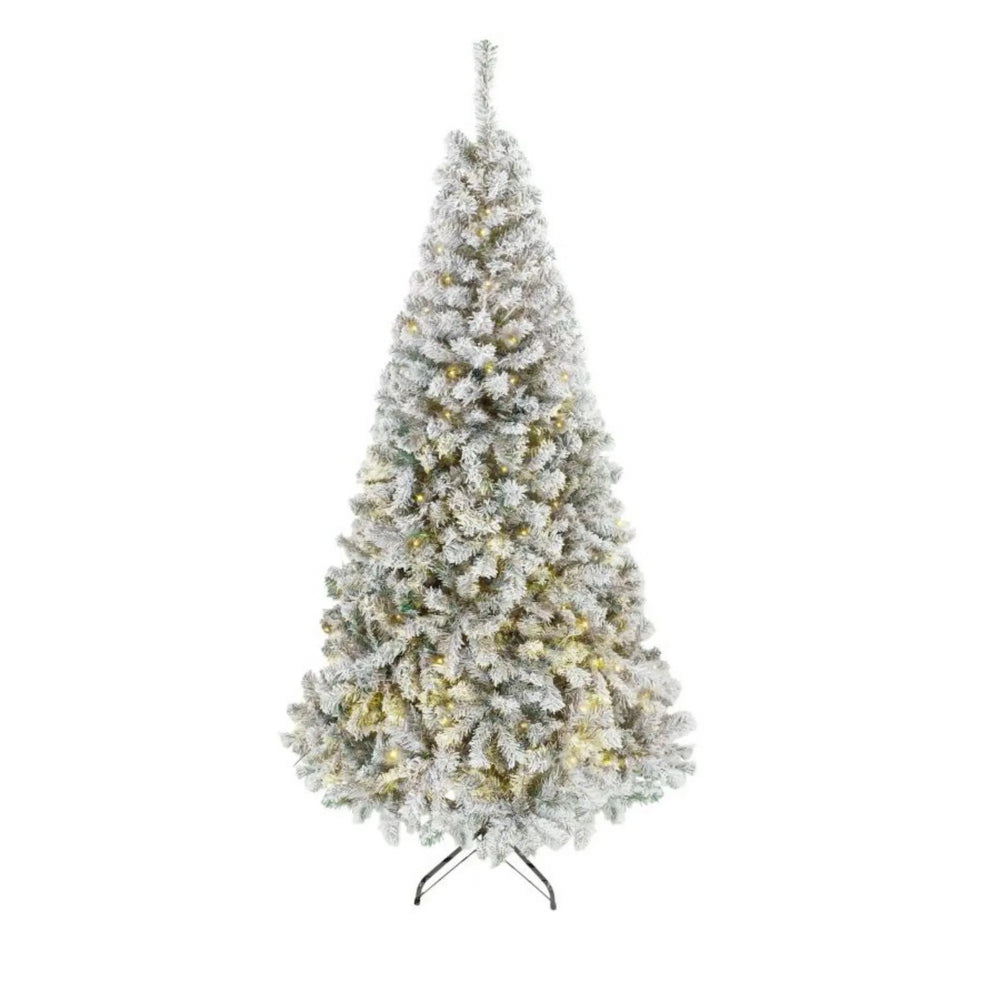 Flocked Fraser fir with warm lights