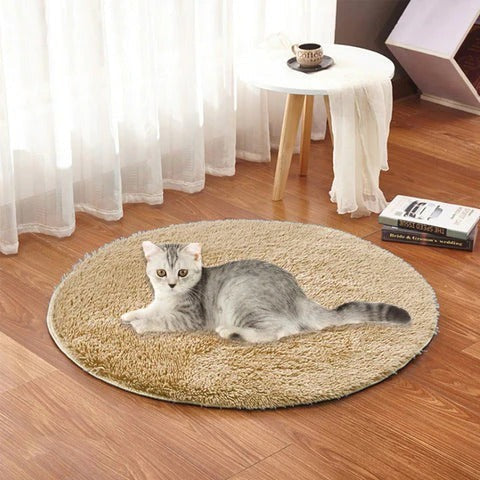 Electric Heated Pet Pad with USB Power Port and Rapid Warming Technology